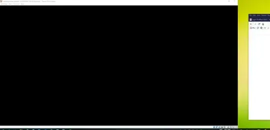 screenshot of a blank VM window