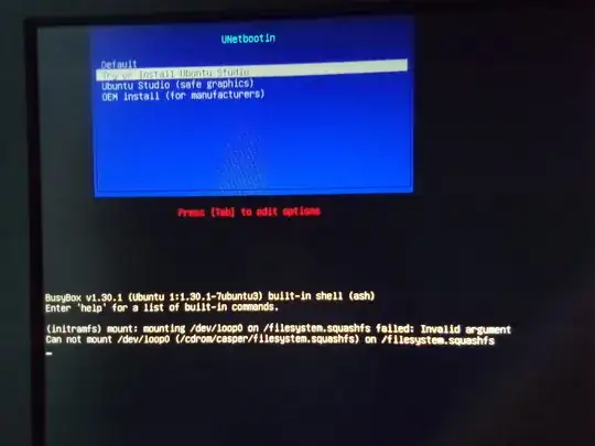 photo of screen showing initramfs BusyBox prompt