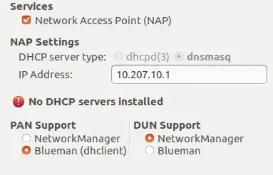 No DHCP servers installed