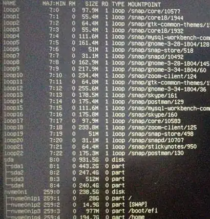 lsblk result before mount