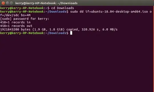 Terminal Screen print
