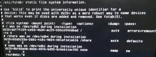 cat /etc/fstab