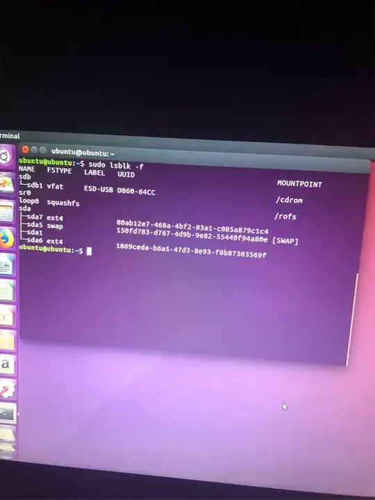 sudo lsblk -f screenshot