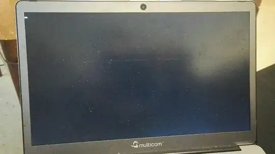 Screen. Freezes here, does not enter splash screen