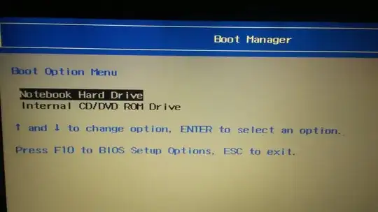 Boot Option Menu