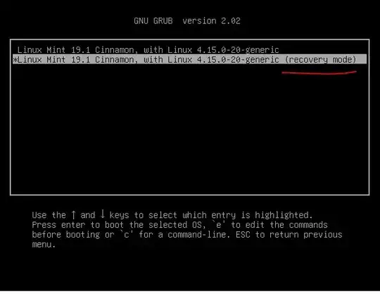 enter the recovery mode