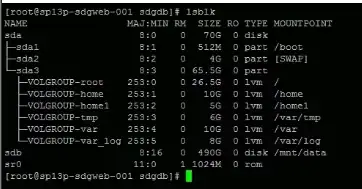 lsblk Screenshot