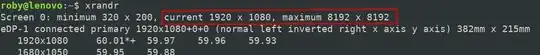 Result of xrandr command: current 1920 x 1080, maximum 8192 x 8192