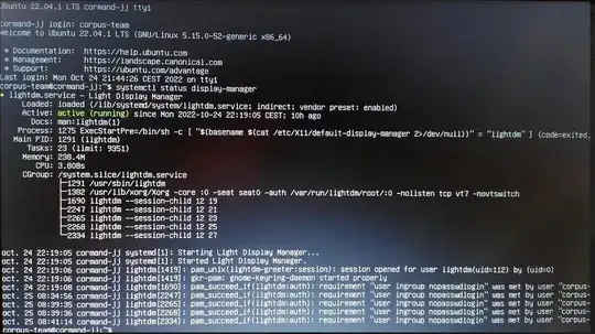 display-manager status