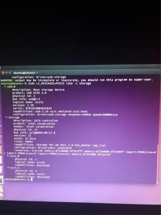 LC_Messages=POSIX lshw -storage screenshot