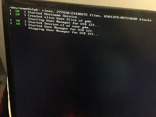 This is a screen shot during the rooboot