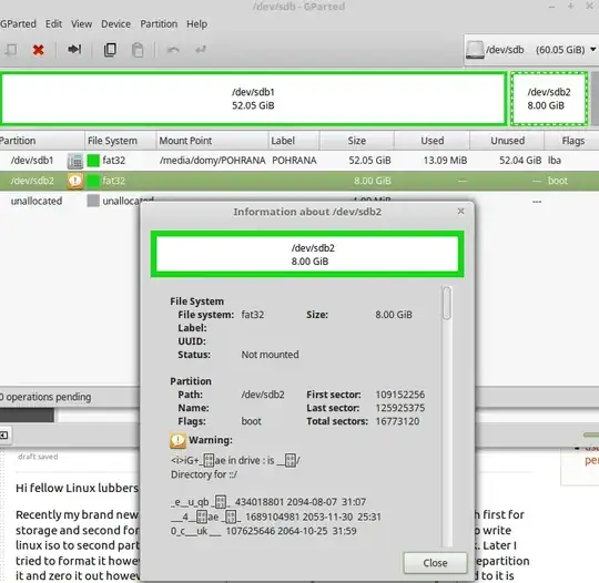 GParted status of USB