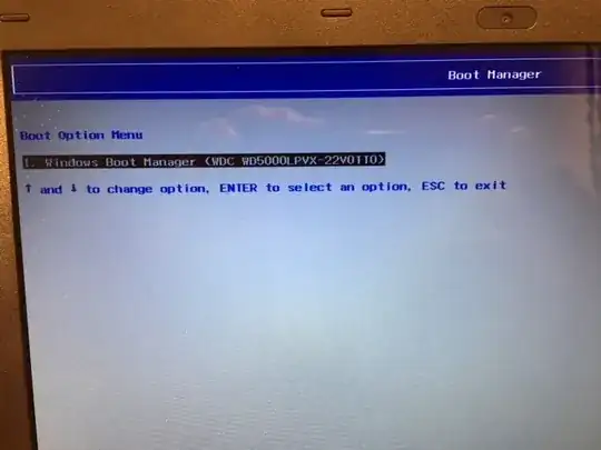 Boot Manager picture of