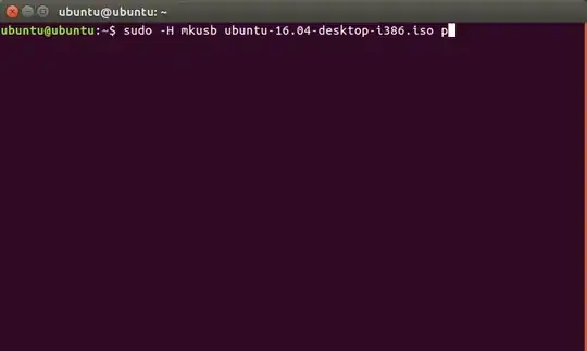 Run command in terminal